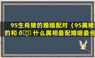 95生肖猪的婚姻配对（95属猪的和 🦅 什么属相最配婚姻最合适）